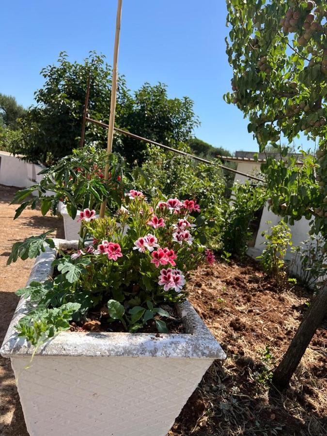 Vila Trullo Antelmi Ceglie Messapica Exteriér fotografie