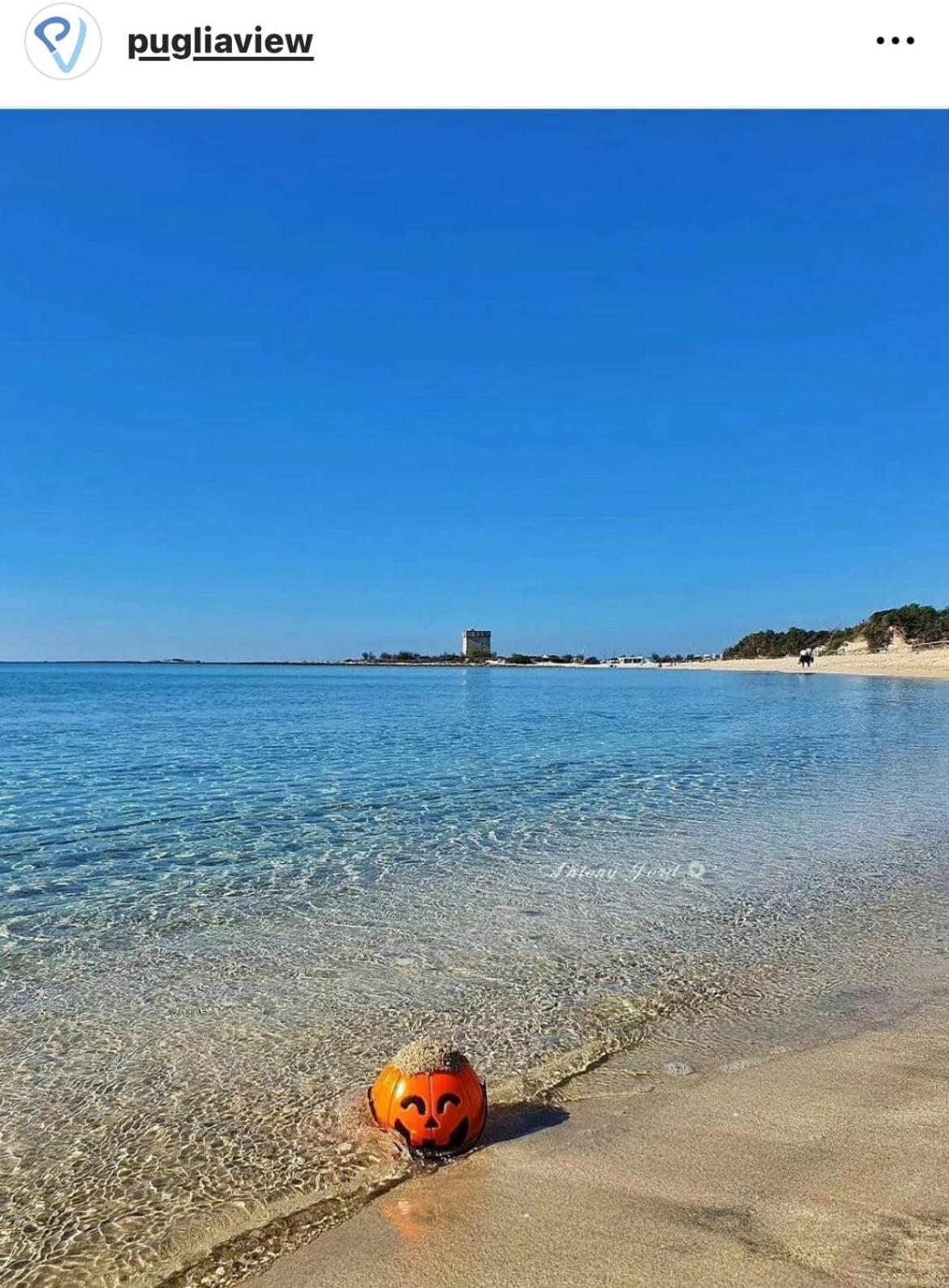 Vila Trullo Antelmi Ceglie Messapica Exteriér fotografie