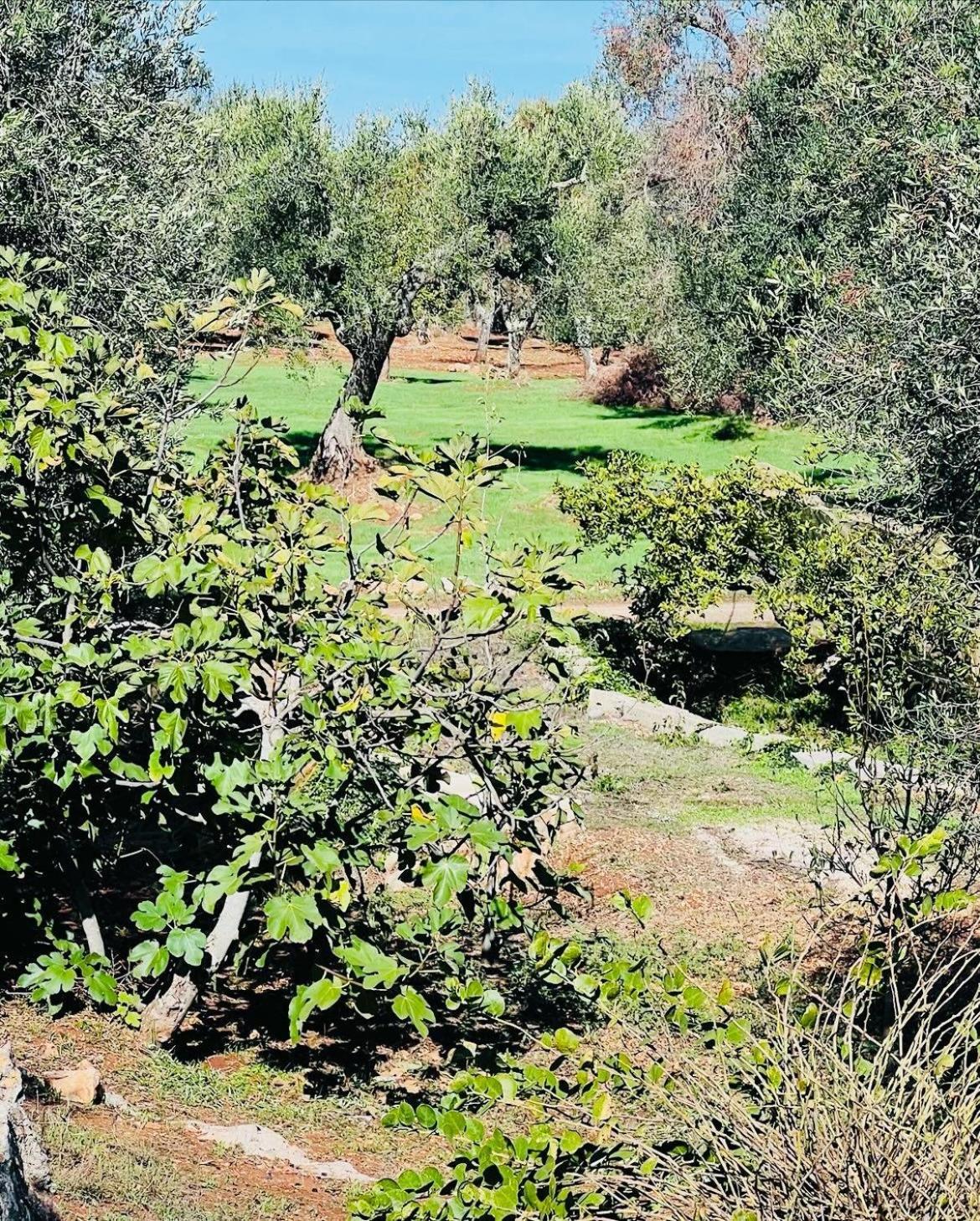 Vila Trullo Antelmi Ceglie Messapica Exteriér fotografie